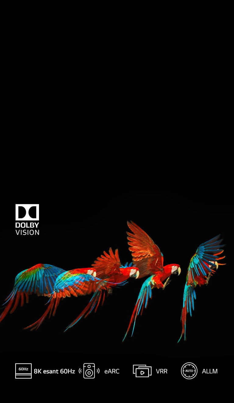 HDMI 2.1* – būtinybė 8K televizoriui2