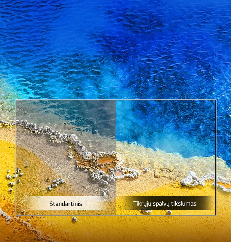 Tikrųjų spalvų tikslumas2