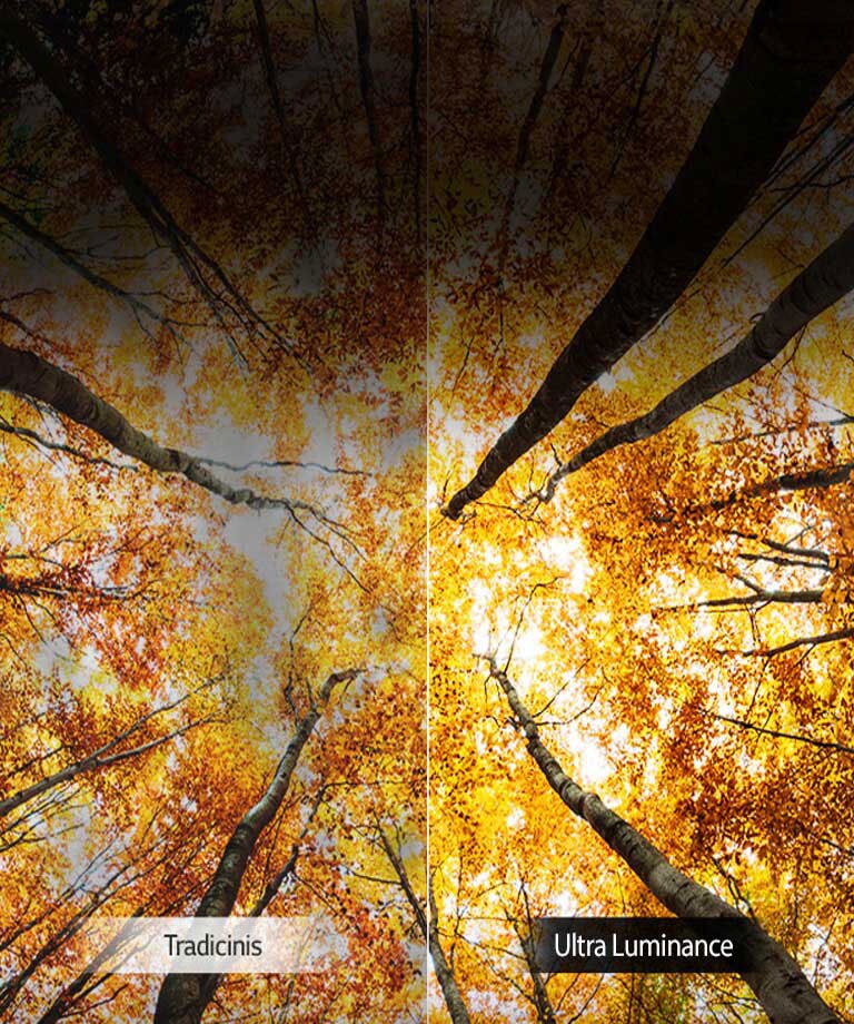 Dar didesnis skaistis2