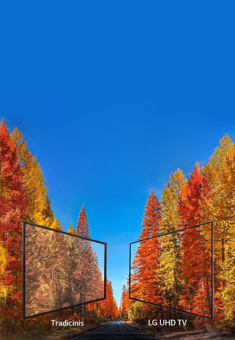 Kokybiškas vaizdas žiūrint bet kuriuo kampu<br>2