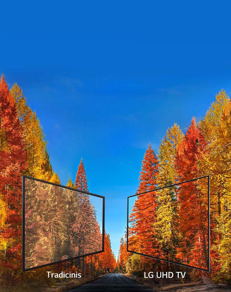 Kokybiškas vaizdas žiūrint bet kuriuo kampu2