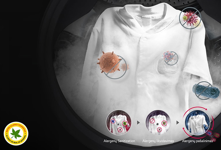 Alergenus įveikite garais2