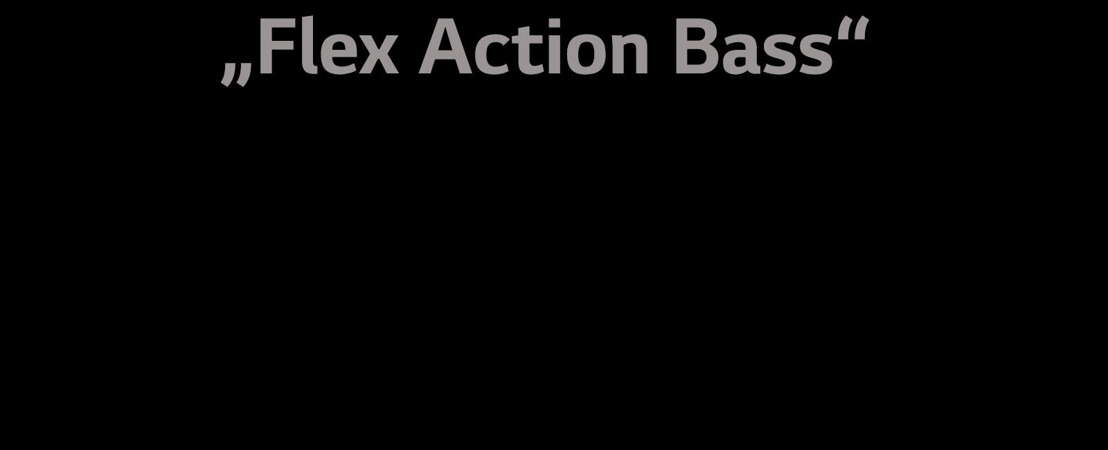 Skyrelio „Flex Action Bass“ tekstas