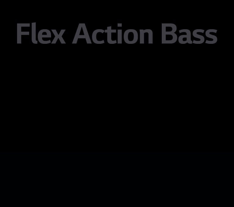 Skyrelio „Flex Action Bass“ tekstas