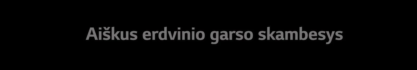 Skyrelio „Aiškus erdvinio garso skambesys“ tekstas
