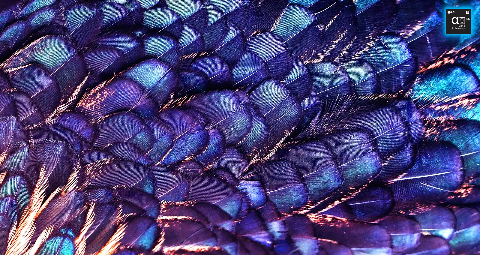 Rodomas ryškaus violetinės spalvos paukščio vaizdas su vaivorykštės spalvų tekstūromis. Vaizdas padalintas į dvi dalis - kairoji yra mažiau ryški, dešinioji - ryškesnė. Ties ja, viršutinėje dešinėje dalyje, yra užrašas „AI 8K upscaling“ (Dirbtinio intelekto atliekamas 8K didinimas) ir procesoriaus lusto vaizdas.