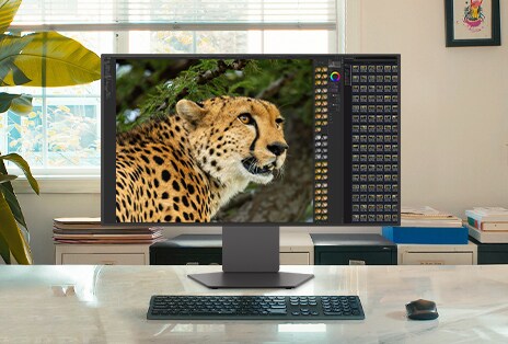 32–34&nbsp;colių LG UltraGear monitorius ant stalo rodo nuotraukų redagavimo sąsają su gepardo vaizdu, idealiai tinkantį išplėstai darbo erdvei.