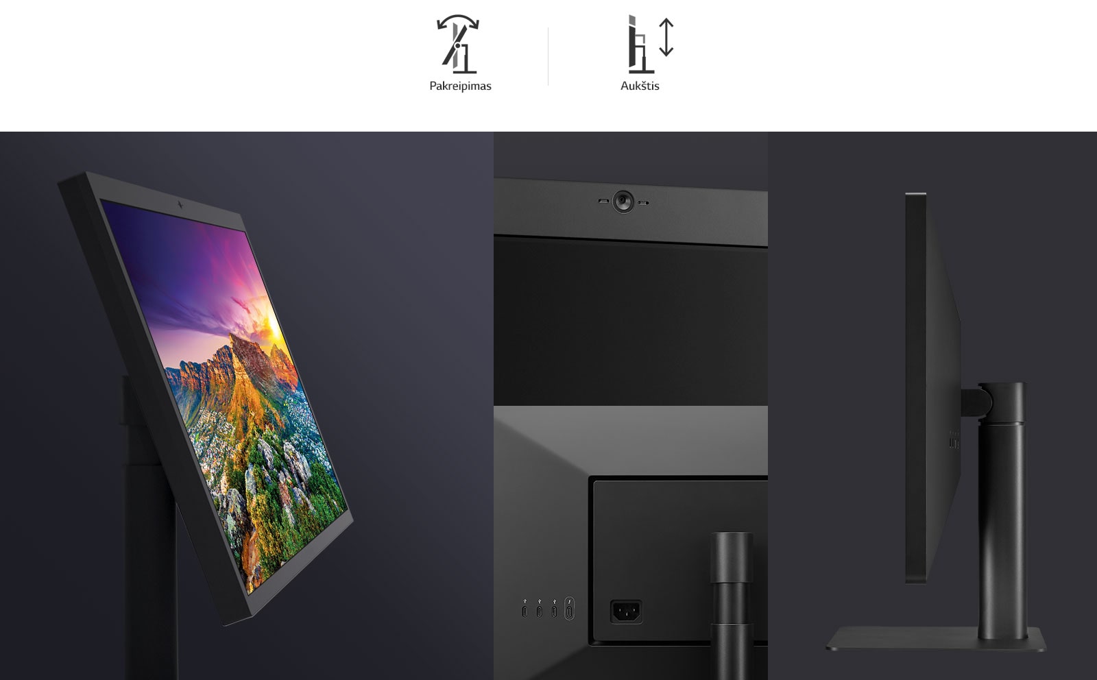 Reguliuojamas stovas