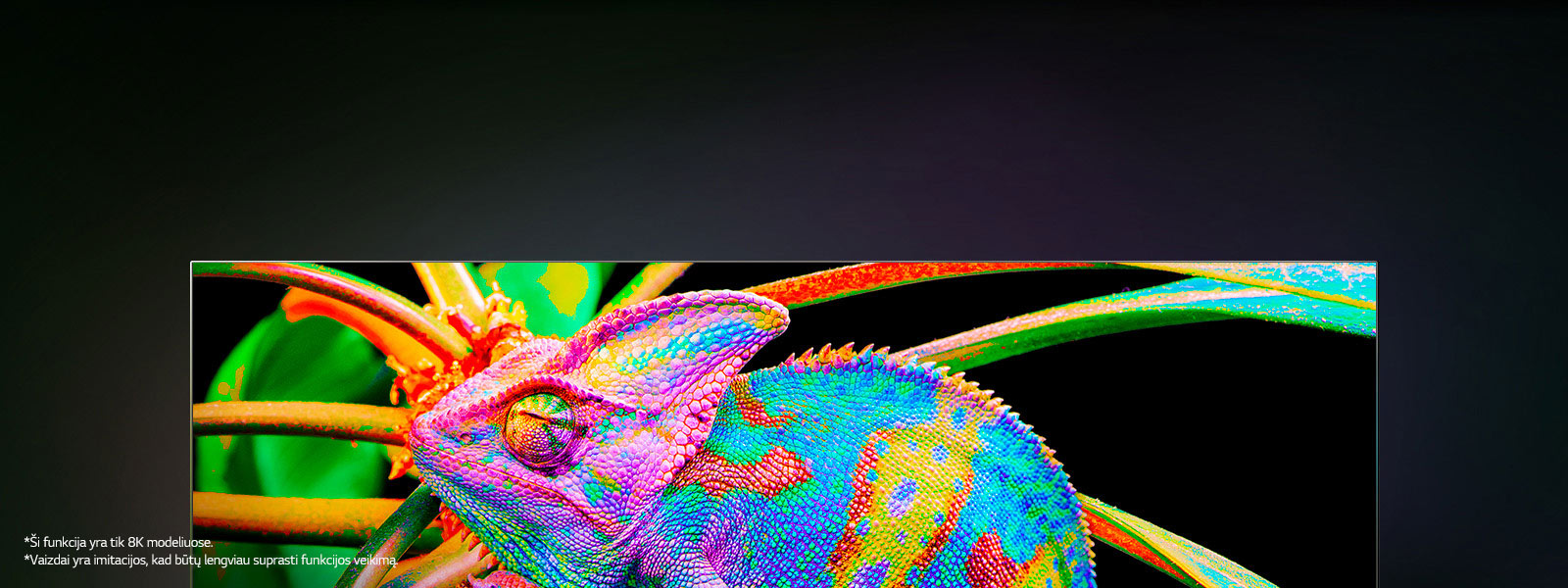 Televizorius, kuriame vaizduojami spalvingi chameleonai, priartintas, kad matytųsi odos detalumas.