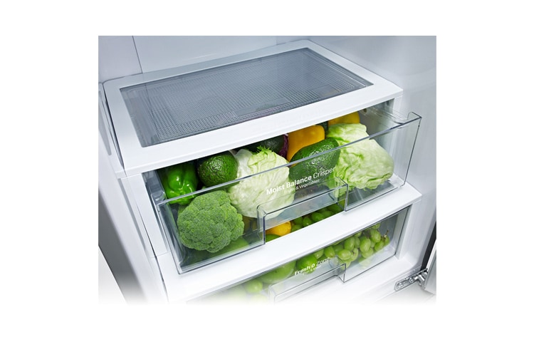 LG „ šaldytuvas su „Moist Balance Crisper™“ ir „Fresh 0 Zone™“ skyriumi., GBB530VMCQE, thumbnail 5