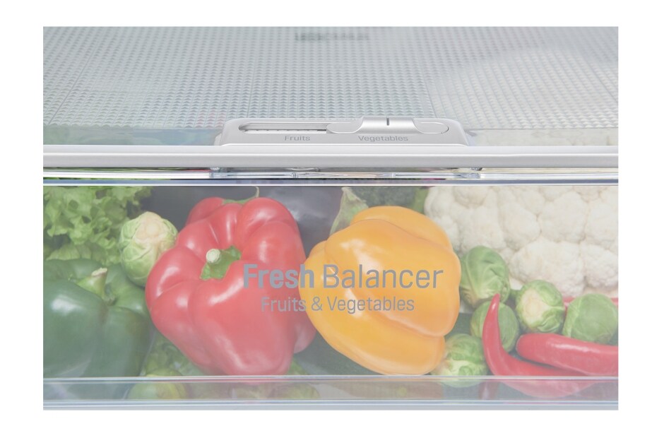 LG šaldytuvas, GBB59PZFZS, thumbnail 7