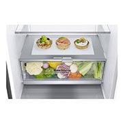 LG GBB7 serijos 384L pilnai bešerkšnis šaldytuvas, aukštis 203cm, Total No Frost, GBB72PZEZN, thumbnail 4