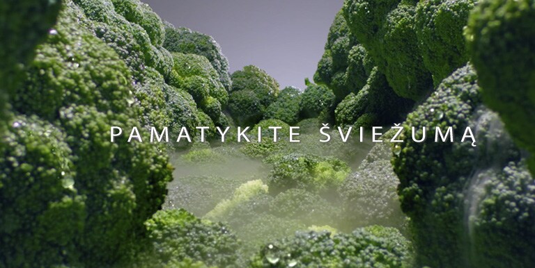 REF-Vplus-MetaltouchSTS-02-2-LinearCooling-Mobile