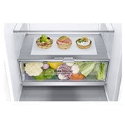 LG Šaldytuvas su šaldikliu apačioje |2.03m | 384L | Baltas | E klasė | DoorCooling | Total No Frost |GBB72SWDMN, GBB72SWDMN, thumbnail 4