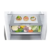 LG GBB9 serijos 384L pilnai bešerkšnis šaldytuvas, aukštis 203cm, Total No Frost, GBB92STABP, GBB92STABP, thumbnail 5