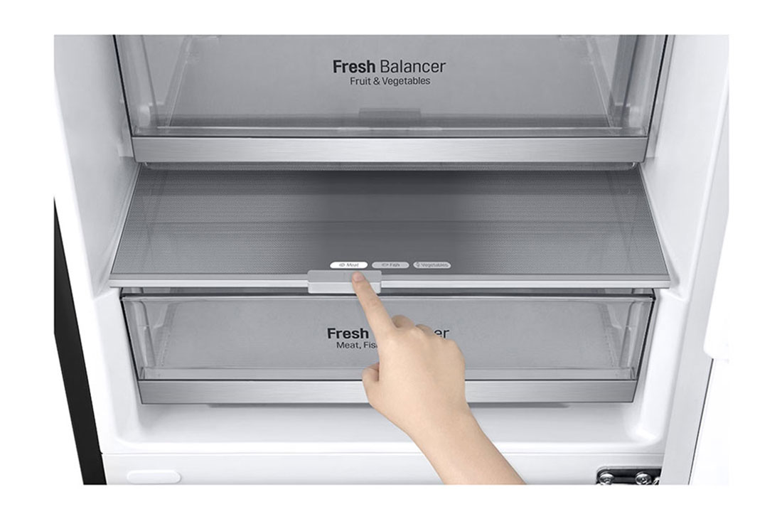 LG GBB7 serijos 384L pilnai bešerkšnis šaldytuvas, aukštis 203cm, Total No Frost, GBB72MCDFN, GBB72MCDGN, thumbnail 5