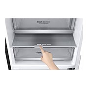 LG GBB7 serijos 384L pilnai bešerkšnis šaldytuvas, aukštis 203cm, Total No Frost, GBB72MCDFN, GBB72MCDGN, thumbnail 5