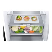 LG Šaldytuvas su šaldikliu&nbsp;apačioje |2.03m |&nbsp;&nbsp;387L | Juoda |&nbsp;C klasė | DoorCooling | Total No Frost&nbsp;| GBV7280CEV, inside view with food, GBV7280CEV, thumbnail 3