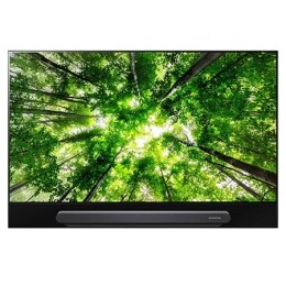 65 colių OLED televizorius2