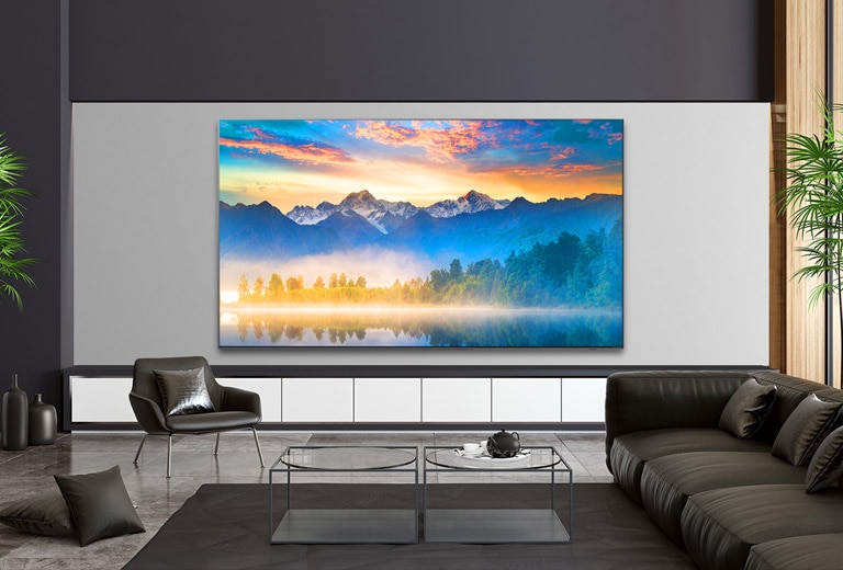 TV showing an eye level view of nature in a luxurious house setting