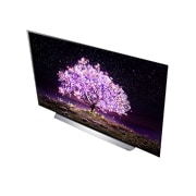 LG 65'' 4K OLED TV C1 , „miniwash“ durelių vaizdas stambiu planu, OLED65C15LA, thumbnail 8