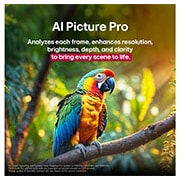 LG 43 colių LG QNED evo AI 4K išmanusis TV QNED86 2025, 4K super upscaling, 43QNED86A3C, thumbnail 10