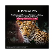 LG 55 colių LG OLED evo AI C5 4K išmanusis TV OLED55C52 2025, Ryškių spalvų detaliame vaizde matomas leopardas miške. Už leopardo yra tinklelis ir šviečia šviesa, rodanti, kaip LG AI Picture Pro įspūdingai pagerino vaizdo raišką, ryškumą, gylį ir aiškumą., OLED55C52LA, thumbnail 9