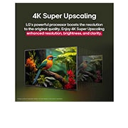 LG 86 colių LG NanoCell AI 4K išmanusis TV NANO81 2025, LG AI Magic Remote su paryškintu AI mygtuku. Aplink jį išdėstytos įvairios funkcijos, kurias naudotojas gali pasiekti naudodamasis mygtuku. AI Voice ID, AI Search, AI Chatbot, AI Concierge, AI Picture, 86NANO81A3A, thumbnail 8