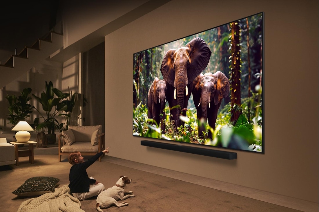 LG 75 colių LG QNED evo AI MiniLED 4K išmanusis TV QNED85 2025, Mergaitė ir šuo sėdi priešais ant sienos sumontuotą LG QNED TV televizorių, kuriame rodomi trys drambliai, einantys į išorę virš „LG Soundbar“ garsos sistemos. Antraštėje rašoma apie tai, kad kiekvien, 75QNED85A3C, thumbnail 15