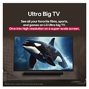 LG 43 colių LG NanoCell AI 4K išmanusis TV NANO81 2025, ultra big tv, 43NANO81A3A, thumbnail 11