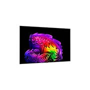 LG 97 colių LG OLED evo AI G6 4K išmanusis TV 2026, 97 colių LG OLED evo AI G6 4K išmanusis TV 2026, OLED97G61LW, thumbnail 8