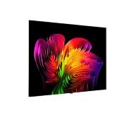 LG 83 col. Wallpaper TV LG OLED evo AI W6 4K išmanusis TV 2026 su bevieliu vaizdo ir garso perdavimu, 83 col. Wallpaper TV LG OLED evo AI W6 4K išmanusis TV 2026 su bevieliu vaizdo ir garso perdavimu, OLED83W69LA, thumbnail 5