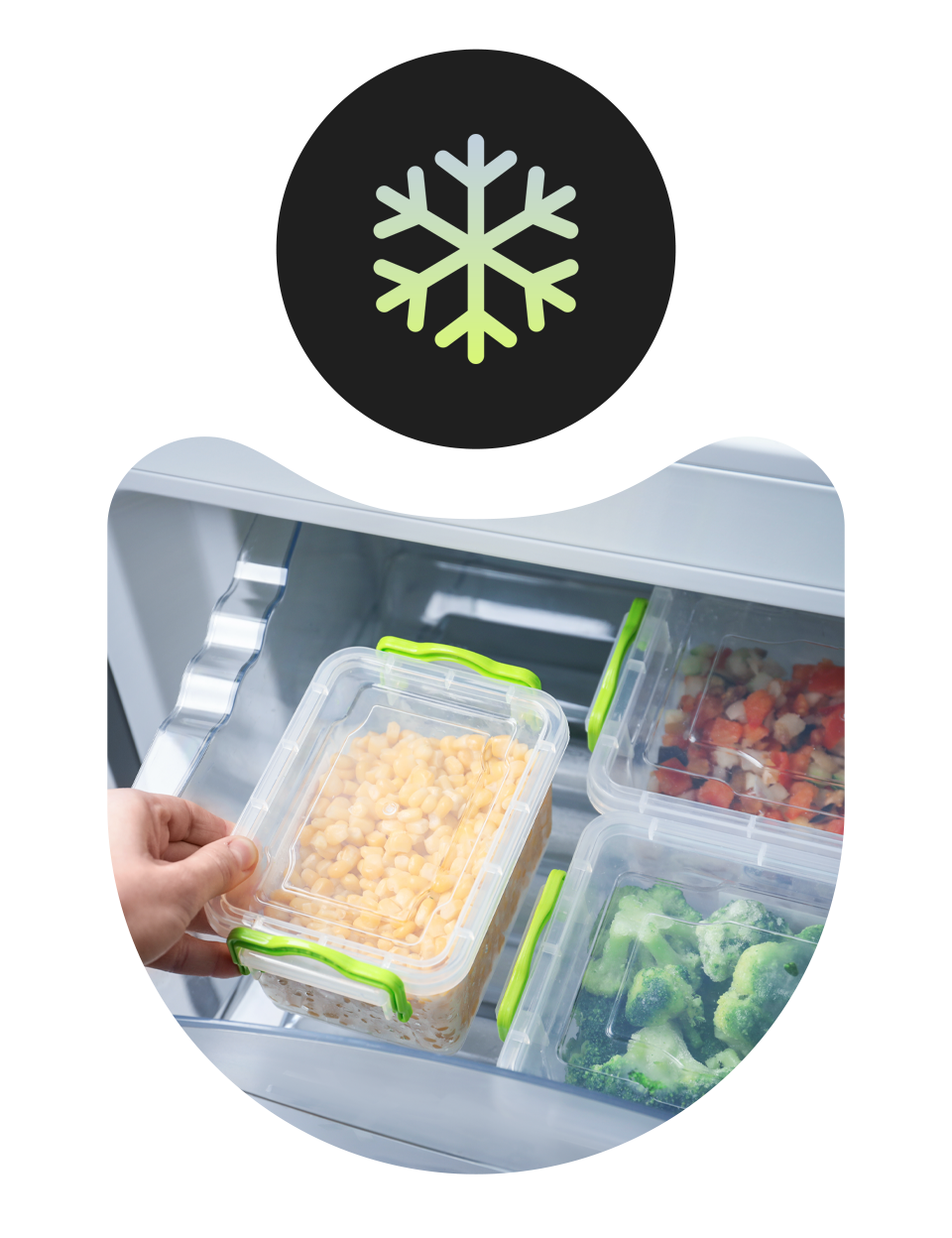 Correctly storing a container on the shelf of the fridge with the proper temperature