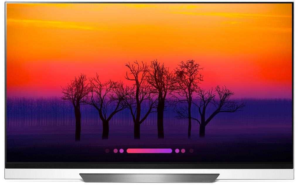 LG OLED TV E8