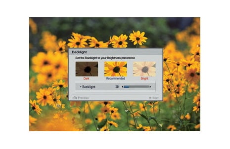 „Picture Wizard II funkcija1