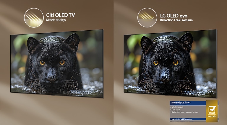 LG OLED evo AI G6 ar pretatspīduma tehnoloģiju Reflection Free Premium rāda salīdzinājumu blakus ar citam OLED TV matētam ekrānam — melna jaguāra attēls paliek skaidrs ar dziļiem melnajiem toņiem un smalku tekstūru pat spilgtā apgaismojumā; attēlā redzama arī Intertek sertifikācijas zīme.