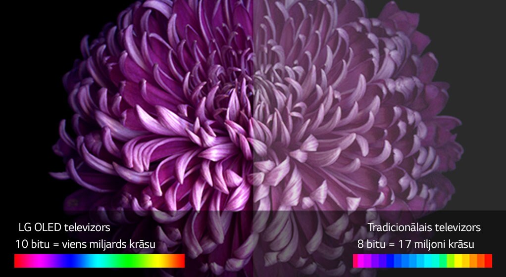 04_W7_A_Perfect-Color-on-Perfect-Black-new1