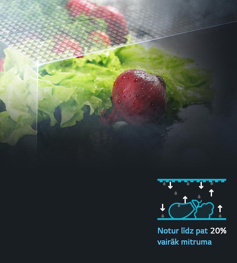 Moist Balance Crisper™2