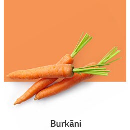 REF-NatureFRESH-Vplus-03-UsefulTips-04-4-Carrots