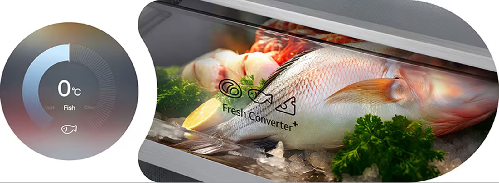 LG ledusskapis ar saldējamo kameru apakšā (GBBS726AEV), grafisks attēls ar apļveida diagrammu, kurā pa kreisi ir redzams 0&nbsp;°C, bet pa labi – svaigas zivis, kas glabājas Fresh Converter kastē.