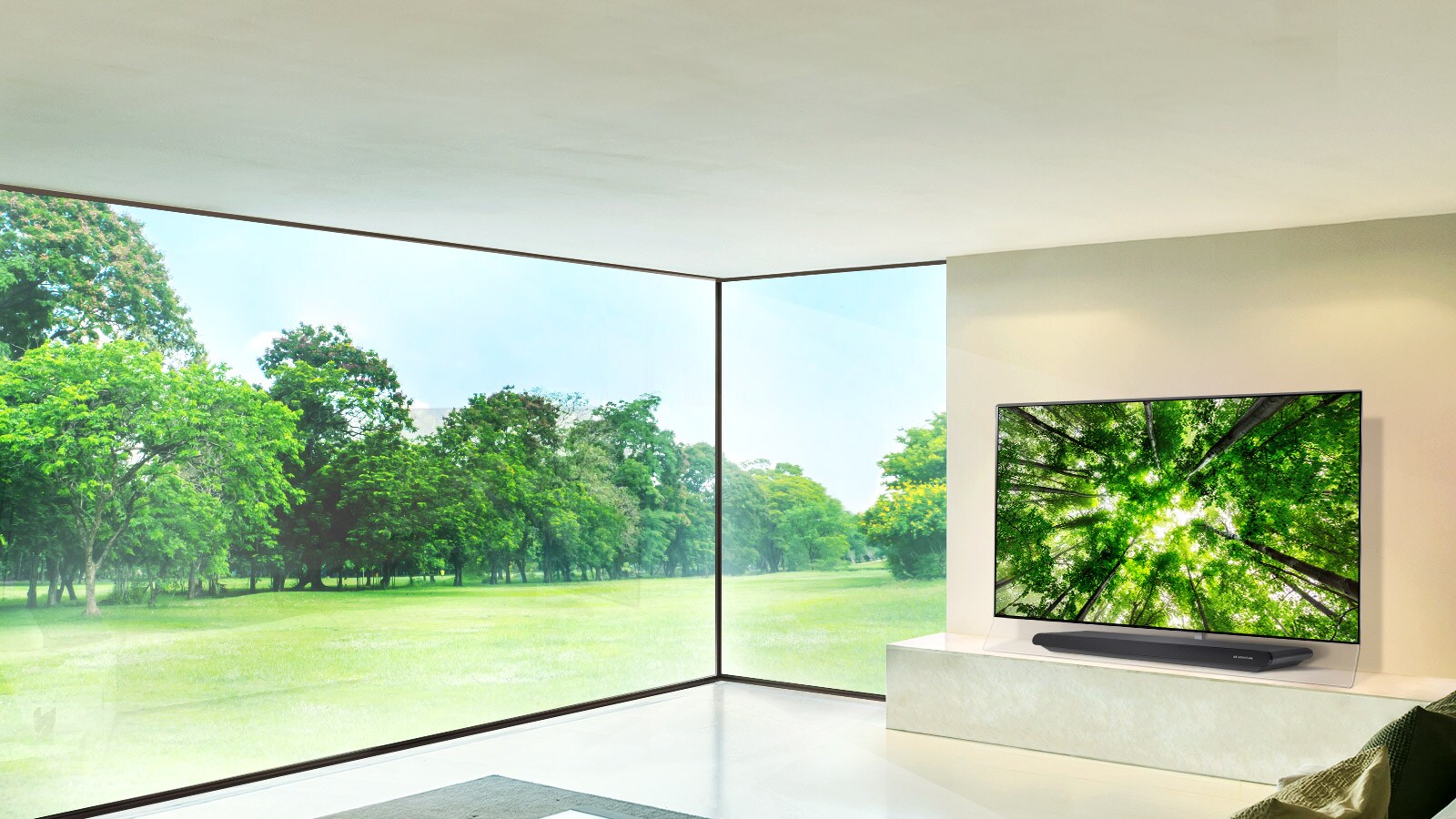 Lidojošs mākslas darbs1