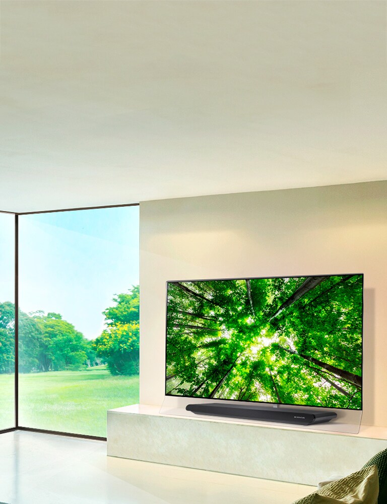 Lidojošs mākslas darbs2