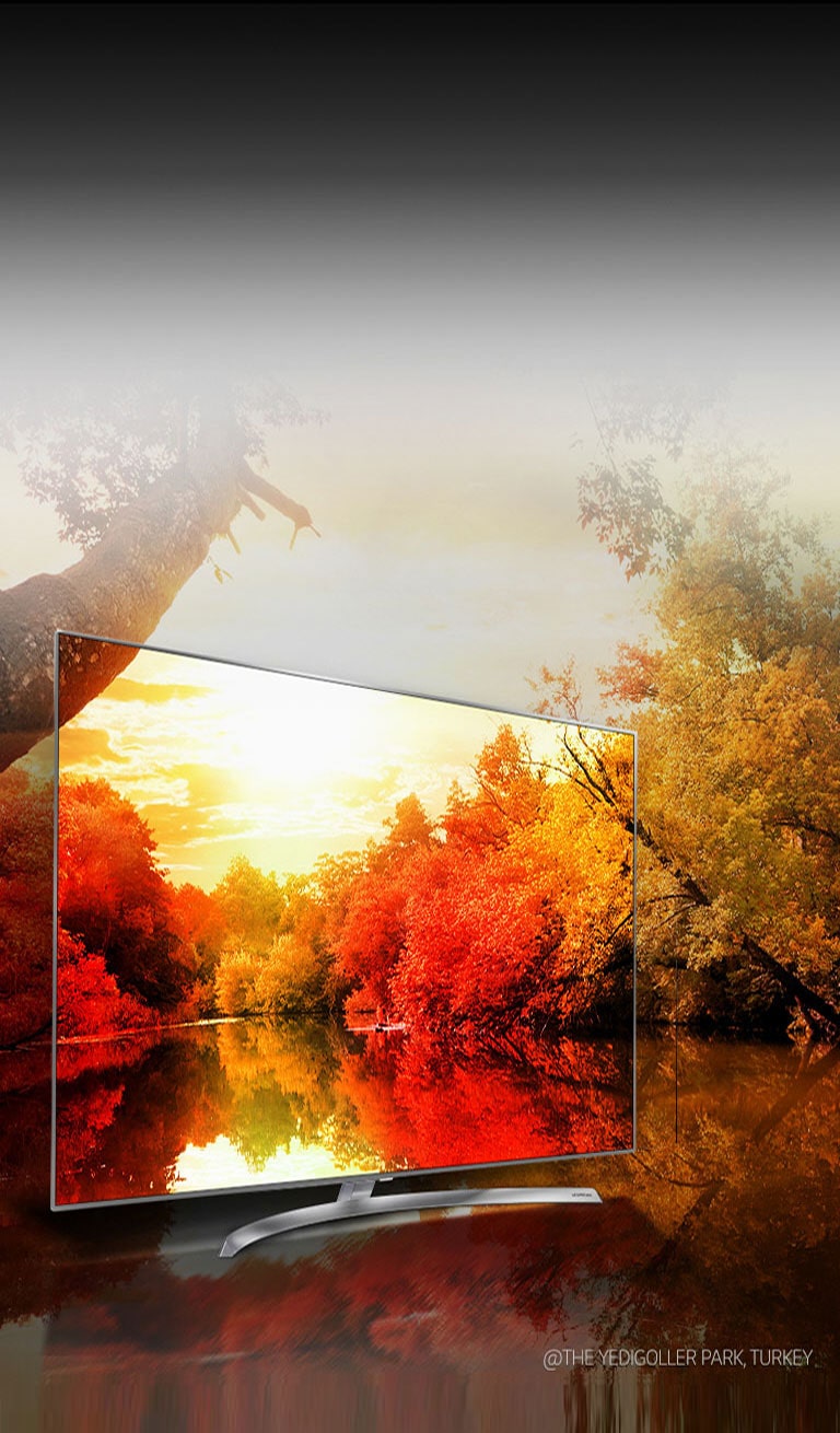 Iespaidīgas krāsas ar miljardu piesātinātu krāsu2