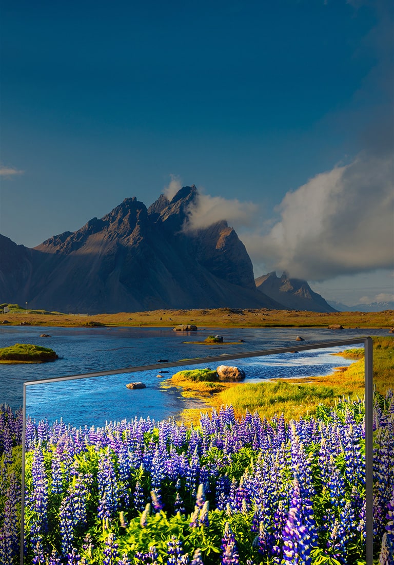 Full HD radikāli uzlabo attēla dzidrumu un krāsas