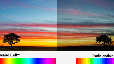 Tehnoloģija Billion Rich Colors1