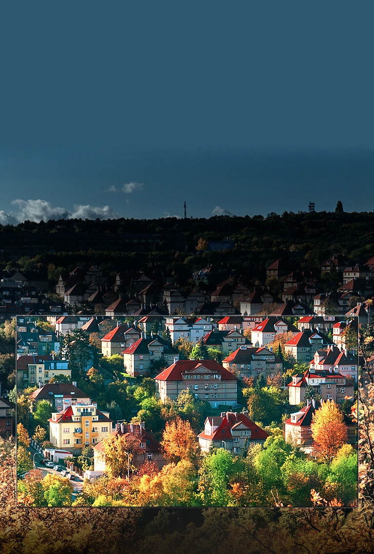 Nano Cell™ displeja pasakainās krāsas<br>2