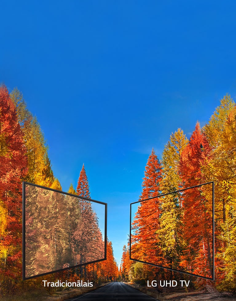 Nemainīgs attēls no jebkura leņķa2