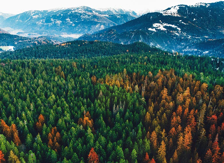 Izcila attēla kodols2