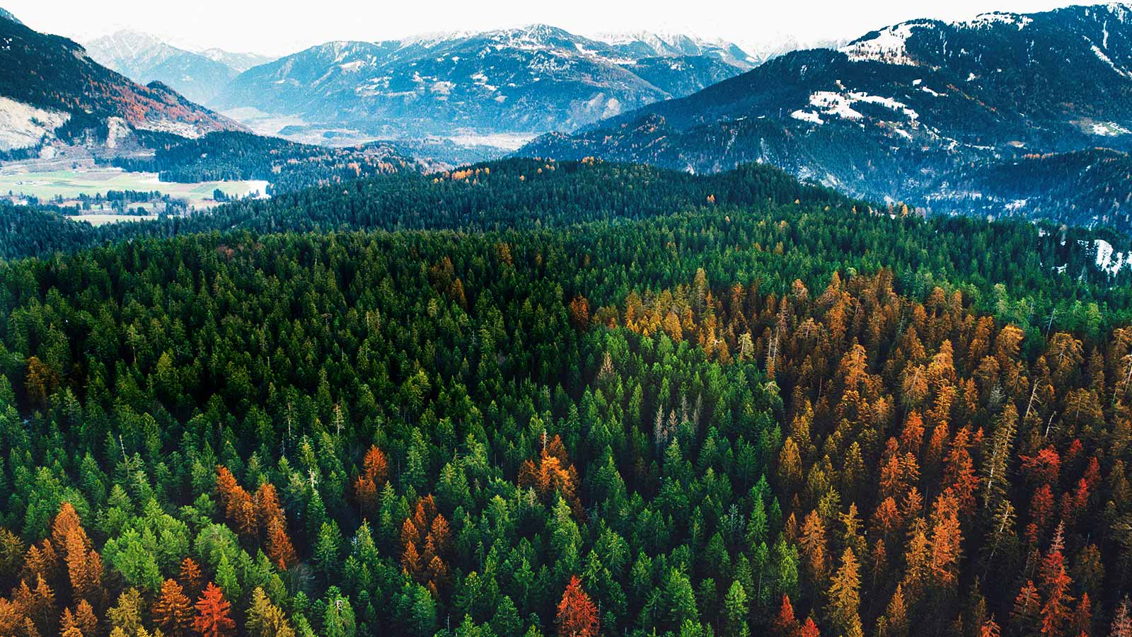 Izcila attēla kodols<br>1