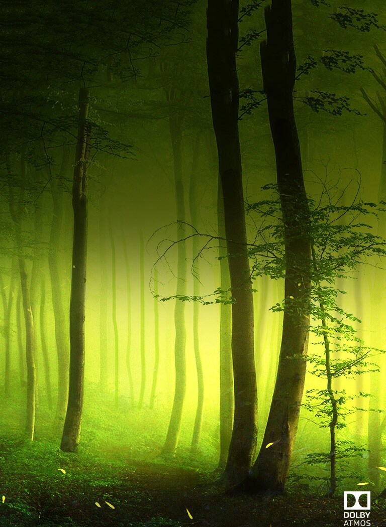 Dolby Atmos®<br>Kinoteātra skaņa mājās<br>2